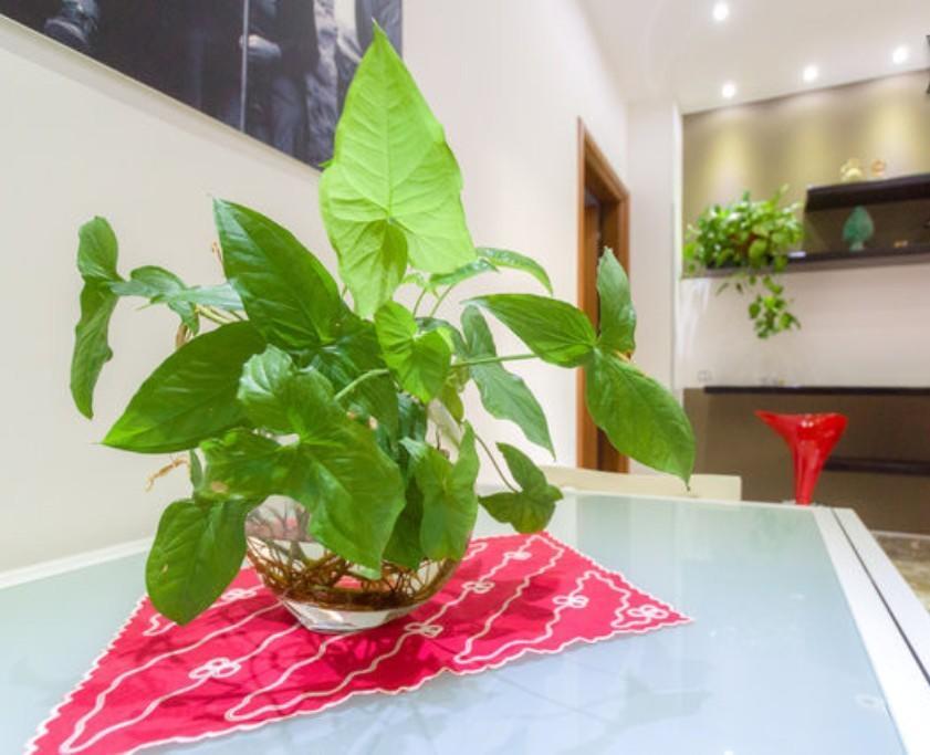 Porta Nuova Bed & Breakfast Marsala Exterior photo